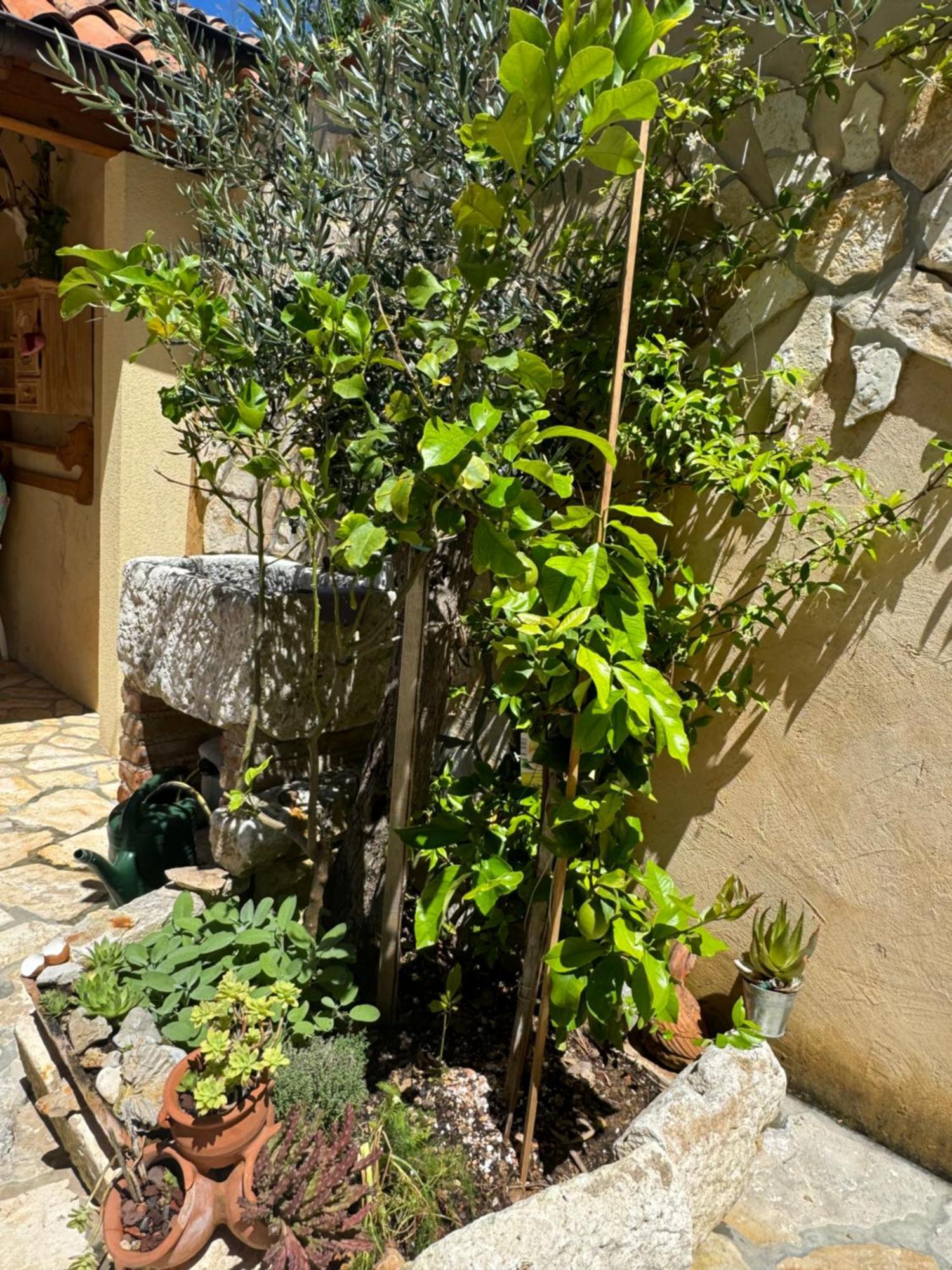 Mediterranes Ferienhaus M. Terrasse Veli Lošinj Extérieur photo